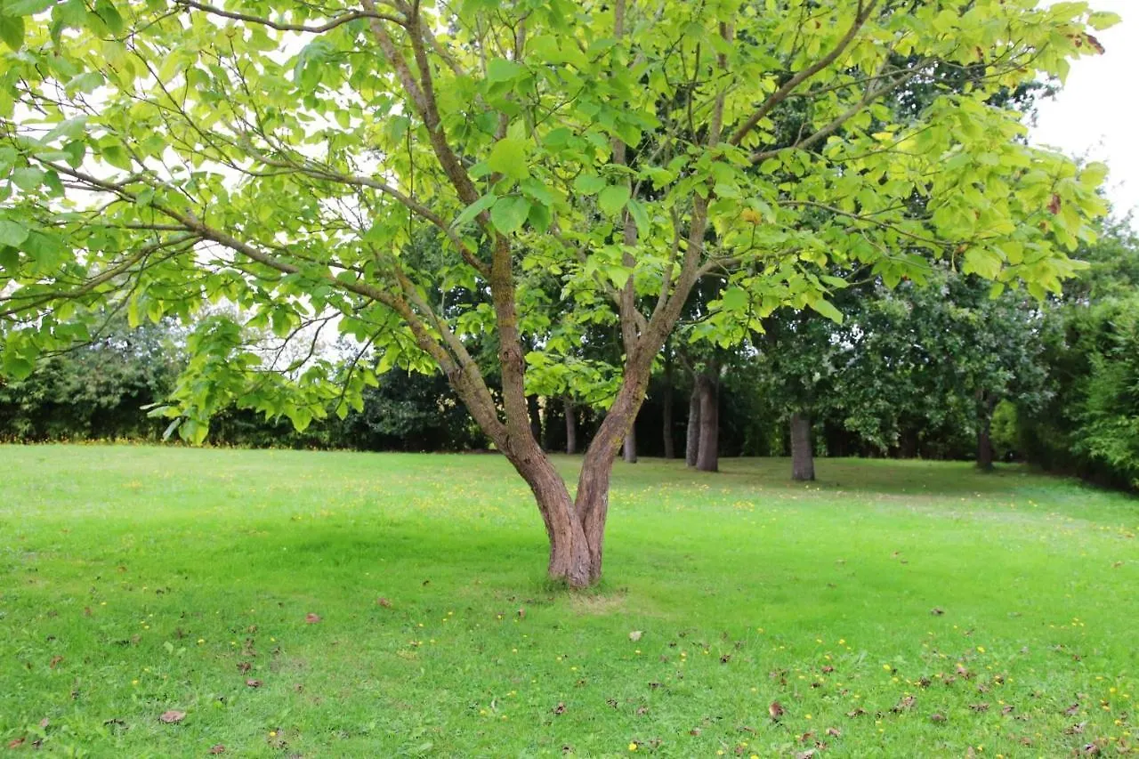 Holiday home Maison Charmante Pres De Sains Avec Spa Et Jardin Clos
